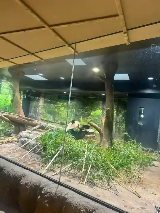 上野東照宮(東京都)