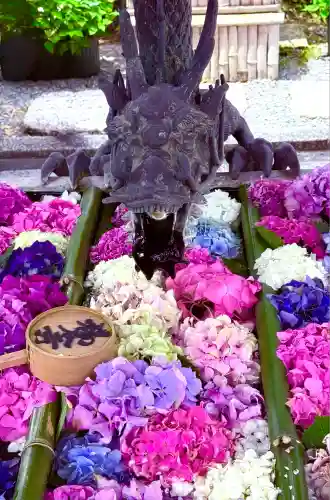 柳谷観音　楊谷寺(京都府)