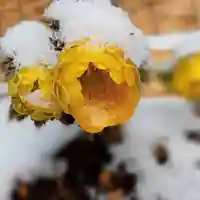阿邪訶根神社の自然
