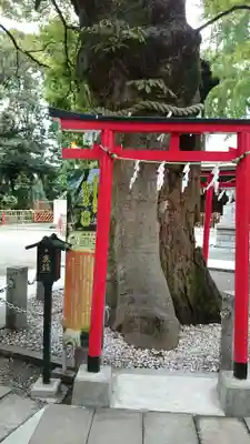 新田神社の鳥居