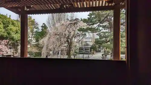 大報恩寺（千本釈迦堂）(京都府)