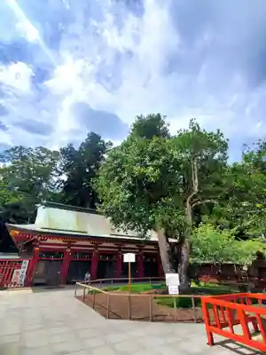 志波彦神社・鹽竈神社(宮城県)