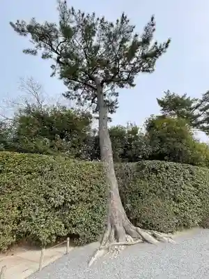 平等院(京都府)
