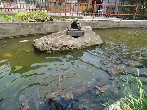 金乗院放光寺の庭園