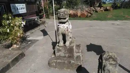  八坂社 (富来神社) の狛犬