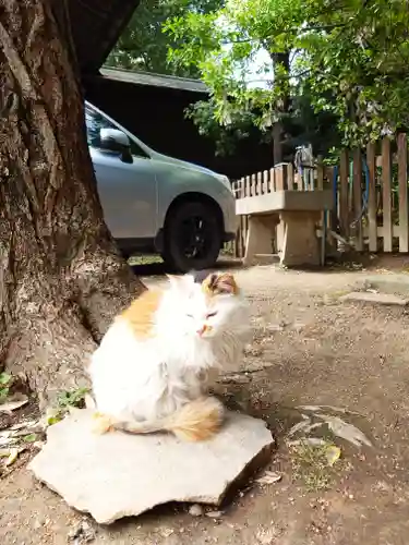 阿邪訶根神社(福島県)