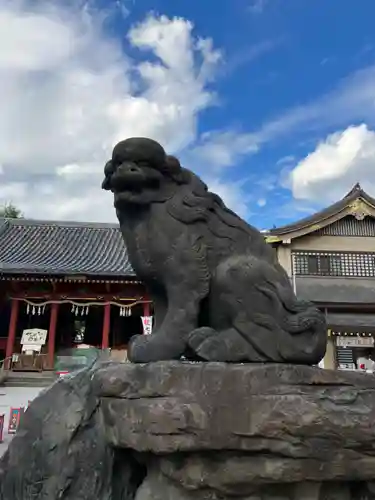 浅草神社の狛犬