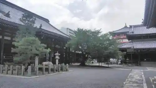 本法寺の本殿・本堂