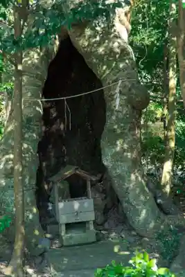 石見国一宮　物部神社(島根県)
