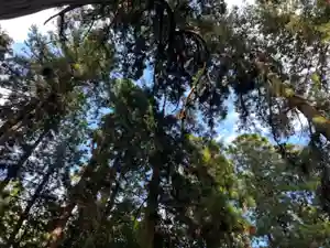 大宮温泉神社(栃木県)(2023年06月20日(火) 07時34分54秒投稿)