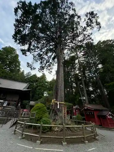 北口本宮冨士浅間神社(山梨県)