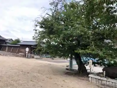 和爾良神社(愛知県)