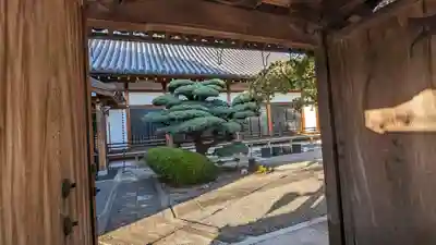 長恩寺(京都府)