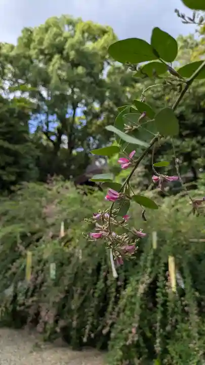 梨木神社(京都府)