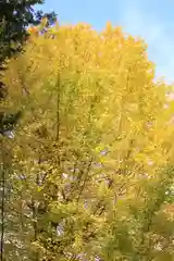 佐野原神社の自然