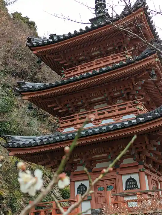 三室戸寺(京都府)