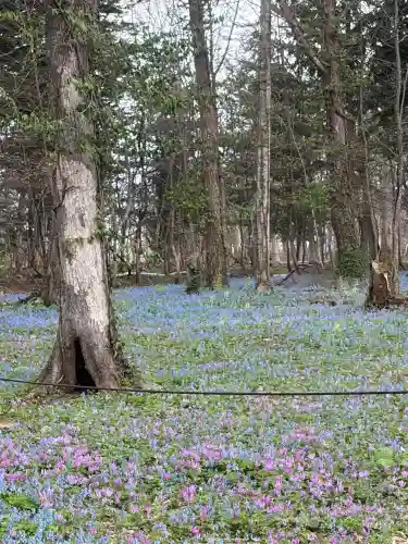 浦臼神社の{uncategorized: "未分類", other: "その他", undefined: "問題あり", building: "その他建物", grave: "お墓", sacred_gate: "鳥居", guardian: "狛犬", statue: "像", buddha: "仏像", history: "歴史", nature: "自然", garden: "庭園", animal: "動物", pagoda: "塔", temizu: "手水舎", mountain_gate: "山門・神門", sanctuary: "本殿・本堂", subordinate: "末社・摂社", art: "芸術", scenery: "景色", jizo: "地蔵", ema: "絵馬", goshuin: "御朱印", omikuji: "おみくじ", items: "授与品その他", amulet: "お守り", goshuincho: "御朱印帳", eats: "食事", festival: "お祭り", votive_dance: "神楽", shichigosan: "七五三参", wedding: "結婚式", experience: "体験その他", initially: "初詣", around: "周辺", anti_infection: "感染症対策"}