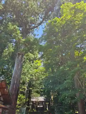 赤城神社(三夜沢町)(群馬県)