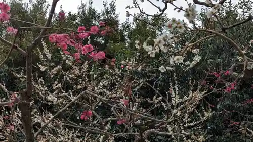 北野天満宮(京都府)
