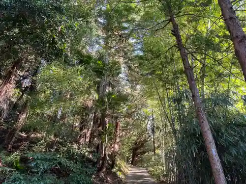 大國魂神社の自然