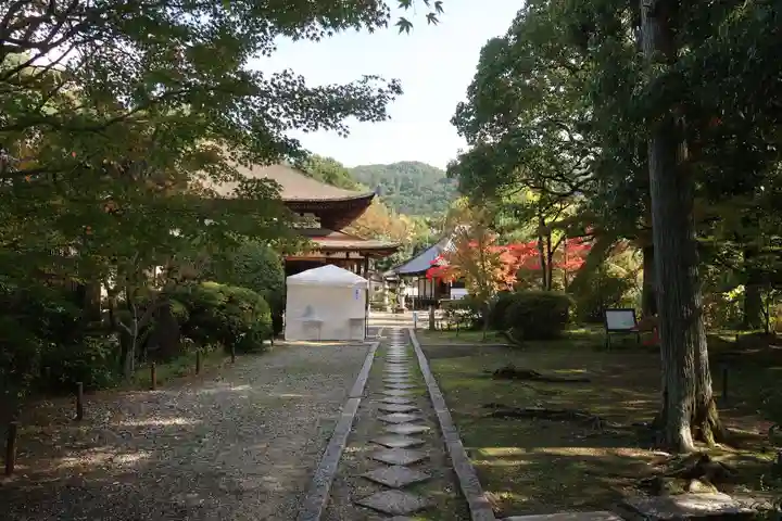 法界寺(日野薬師)(京都府)