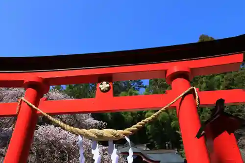 小川諏訪神社の鳥居