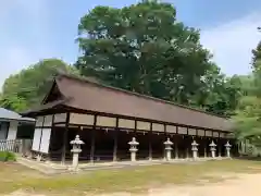 大山祇神社の本殿