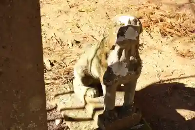 宇都宮神社（下彦間町）(栃木県)