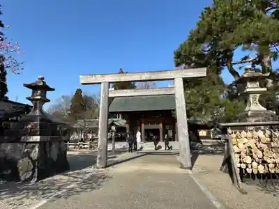 射水神社の鳥居