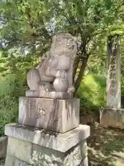 千代ケ岡八幡宮の狛犬