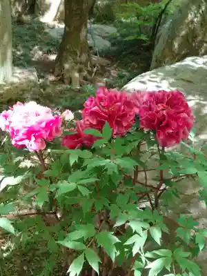 宝徳寺(群馬県)