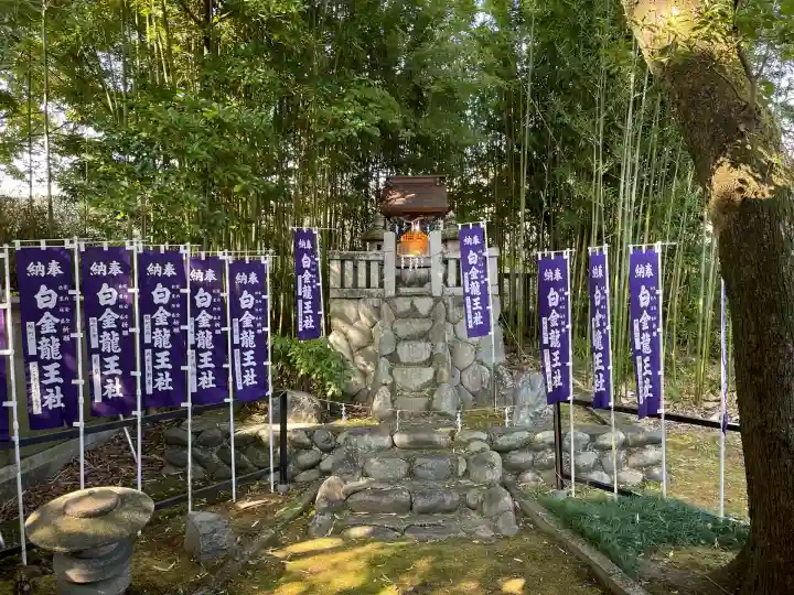 白金龍王社(愛知県)