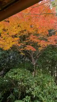 桂春院(京都府)