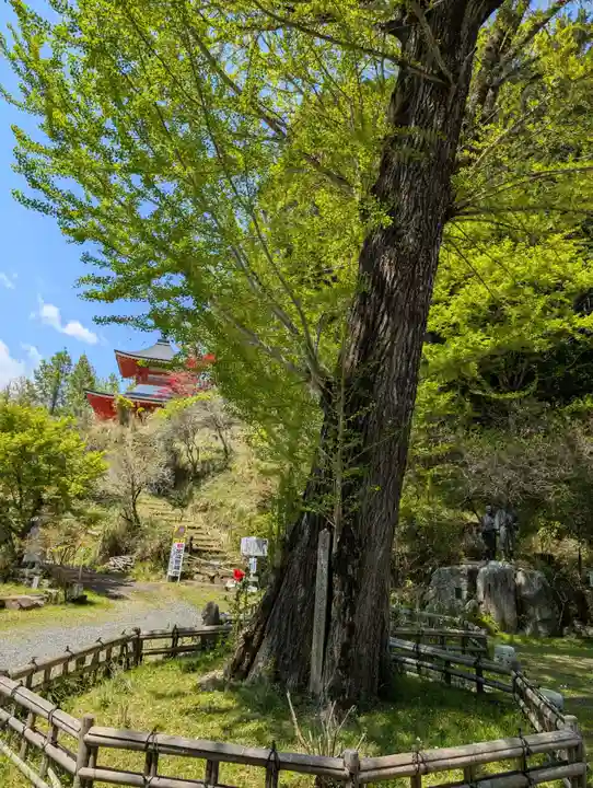 大聖寺(岡山県)