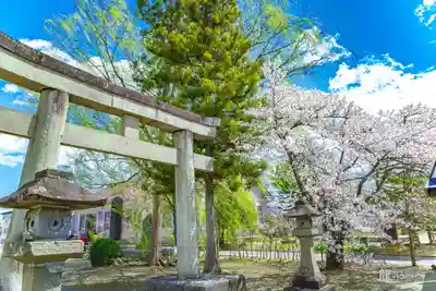 吉岡八幡神社(宮城県)