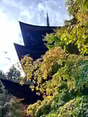 新海三社神社(長野県)