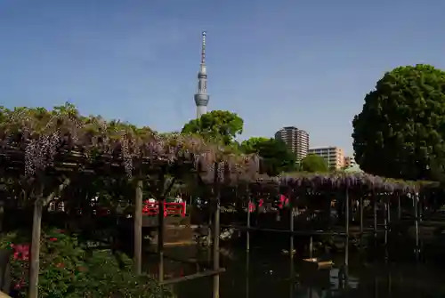 亀戸天神社の景色