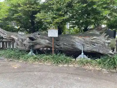 瀬戸神社(神奈川県)