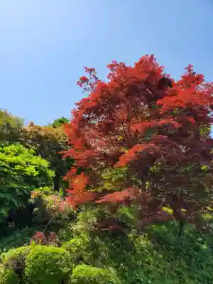 藥王寺(福島県)