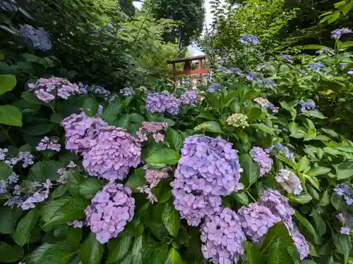 御霊神社の自然