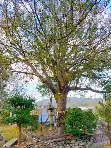伊太祁曽神社(和歌山県)