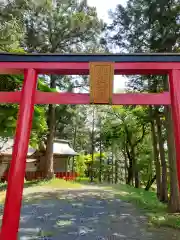 津島本宮神社の鳥居