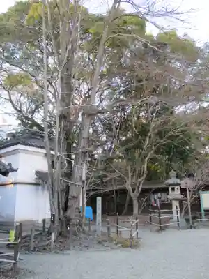 梨木神社(京都府)
