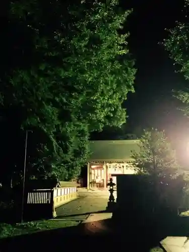 富岡八幡宮のお祭り