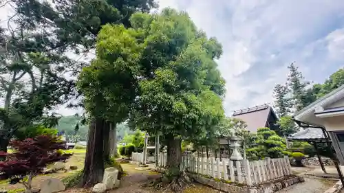 大坪八幡宮(京都府)