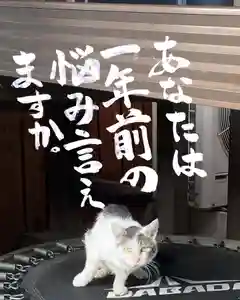 専念寺(大阪府)(2022年09月02日(金) 17時32分19秒投稿)