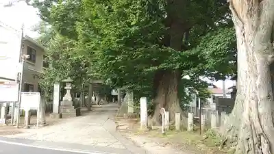 八坂神社(茨城県)