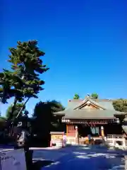 中野沼袋氷川神社(東京都)