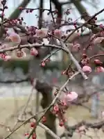 伊勢の国 四天王寺の自然