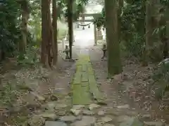 須須神社金分宮の建物その他